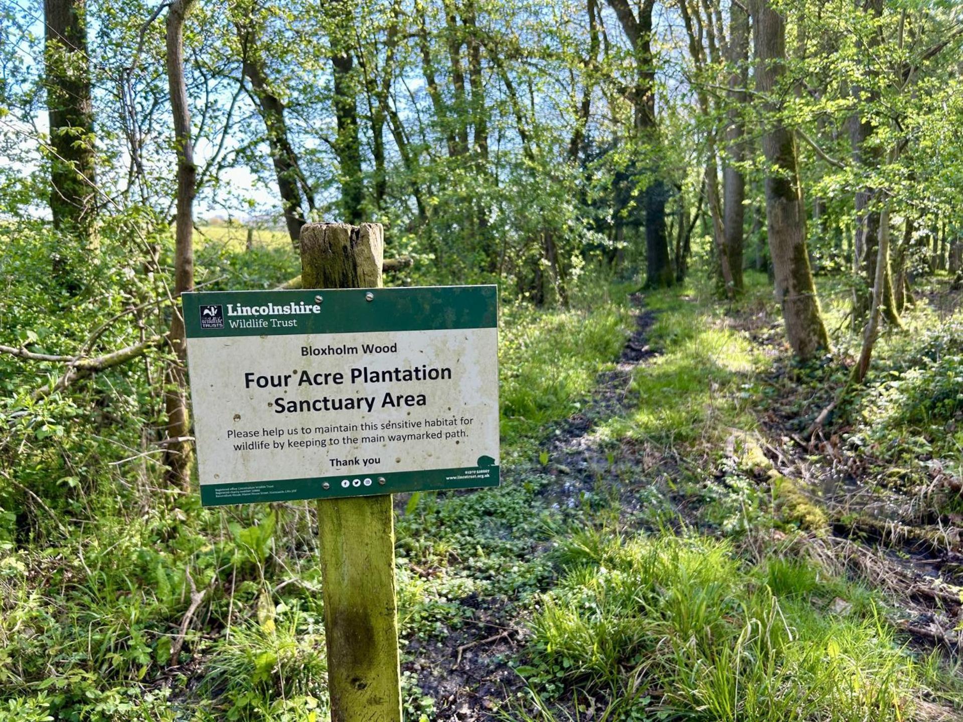 Cosy And Secluded Brook-Side Lodge Sleaford Luaran gambar